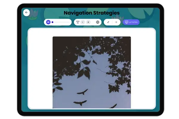 How Animals Navigate - reading educational content