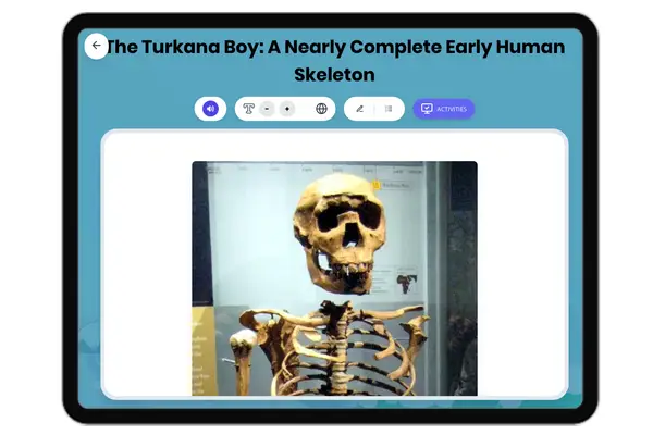 The Turkana Boy: A Nearly Complete Early Human Skeleton - reading educational content
