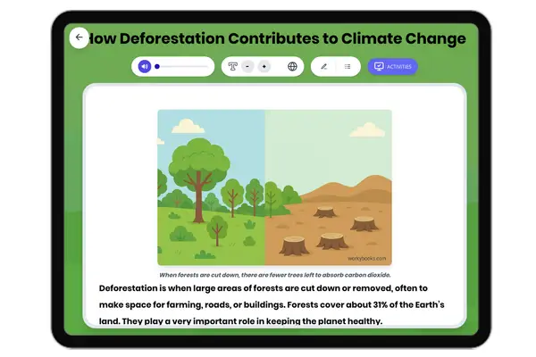 How Deforestation Contributes to Climate Change - reading educational content