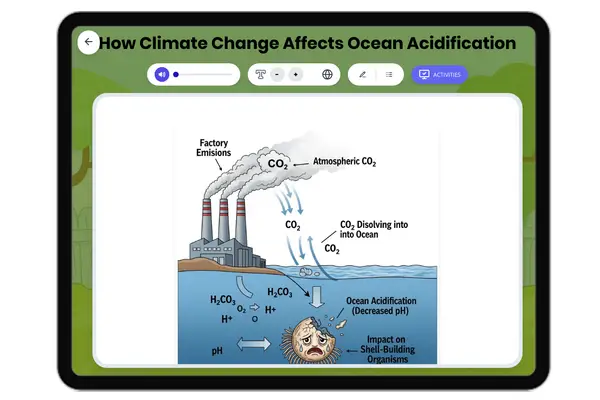 How Climate Change Affects Ocean Acidification - reading educational content