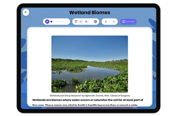 Wetland Biomes - reading educational content