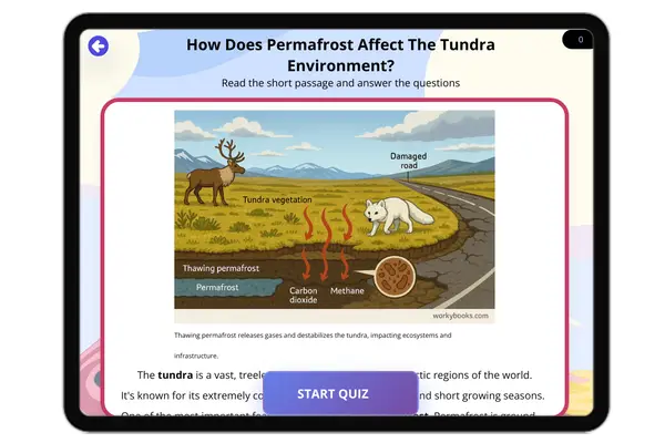 How Does Permafrost Affect The Tundra Environment? - reading educational content