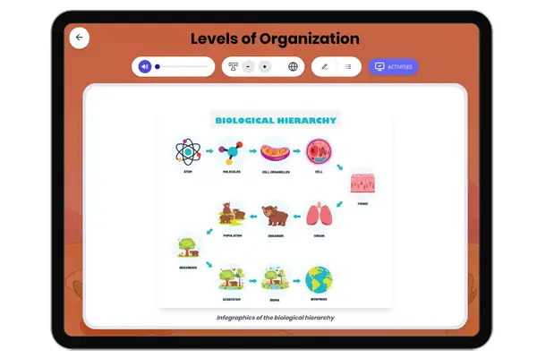Levels of Organization - reading educational content