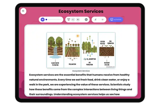 Ecosystem Services - reading educational content