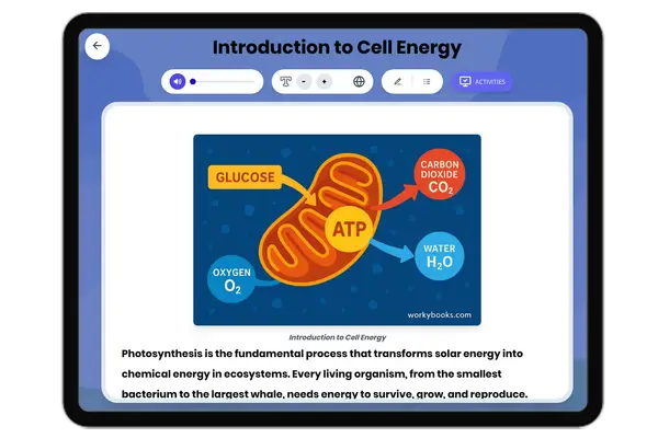 Introduction to Cell Energy - reading educational content