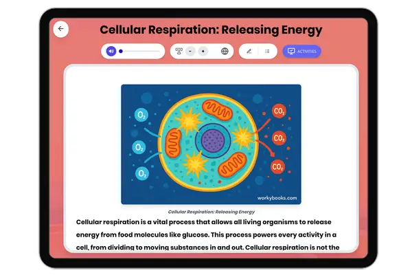 Cellular Respiration: Releasing Energy - reading educational content
