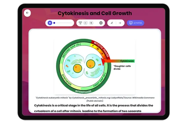 Cytokinesis and Cell Growth - reading educational content