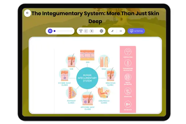 Integumentary System - reading educational content