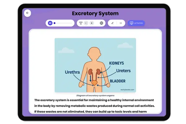 Excretory System - reading educational content