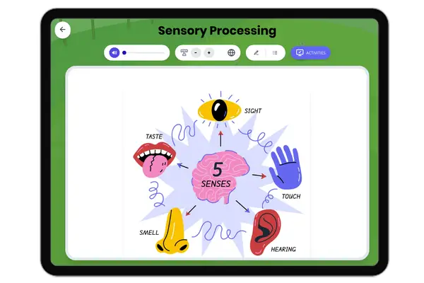 Sensory Processing - reading educational content