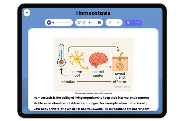 Homeostasis - reading educational content