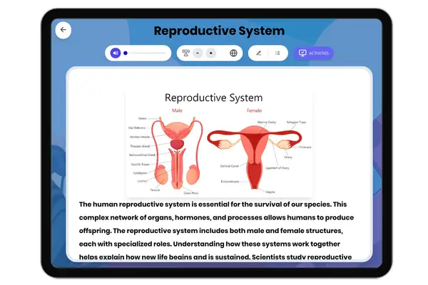 Reproductive System - reading educational content
