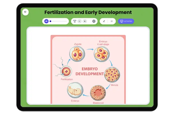 Fertilization and Early Development - reading educational content