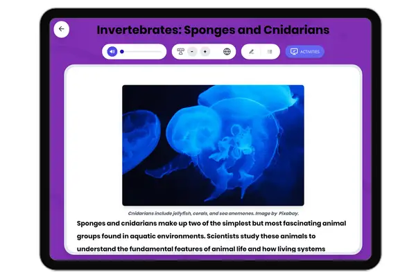 Invertebrates: Sponges and Cnidarians - reading educational content