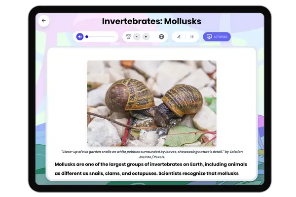 Invertebrates: Mollusks - reading educational content