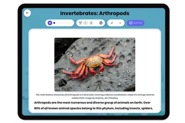 Invertebrates: Arthropods - reading educational content