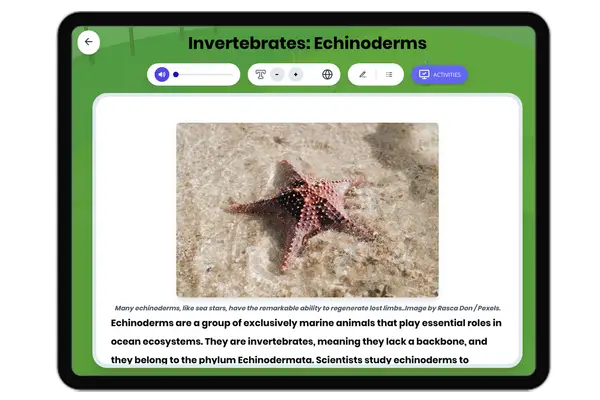 Invertebrates: Echinoderms - reading educational content