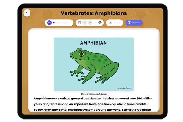 Vertebrates: Amphibians - reading educational content