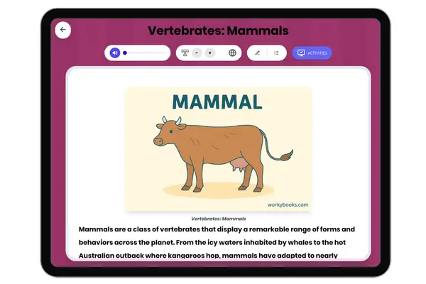 Vertebrates: Mammals - reading educational content