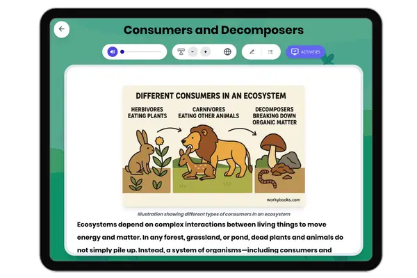 Consumers and Decomposers - reading educational content