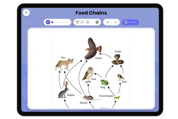 Food Chains - reading educational content