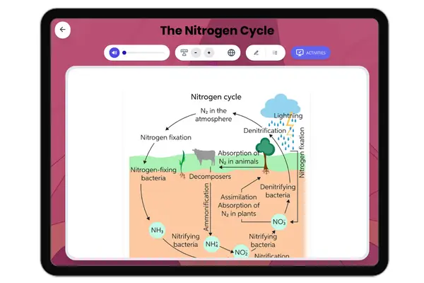 Nitrogen Cycle - reading educational content