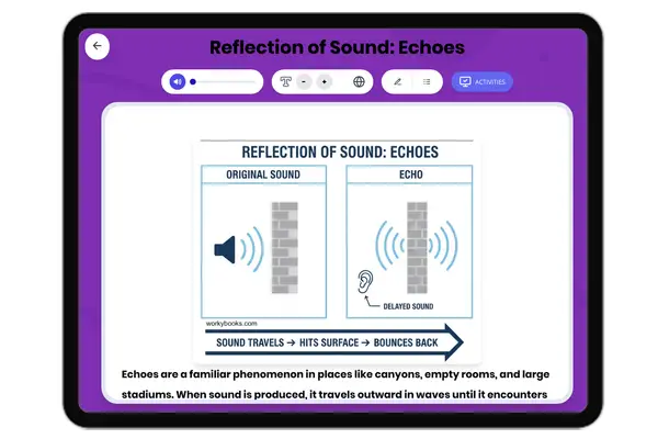 Reflection of Sound: Echoes - reading educational content