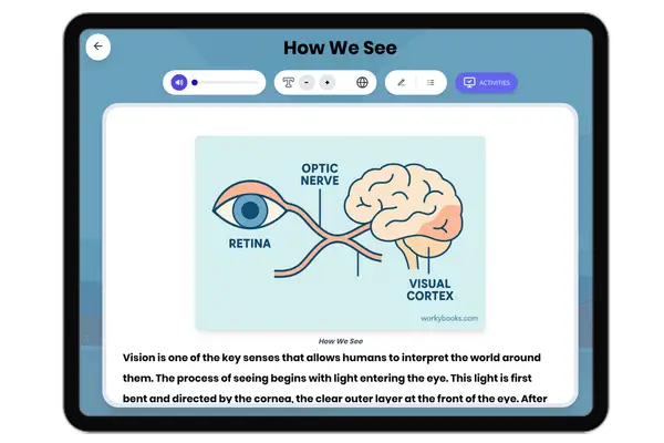 How We See - reading educational content