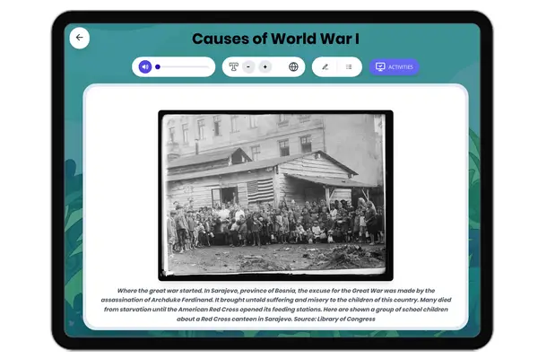 Causes of World War I - reading educational content